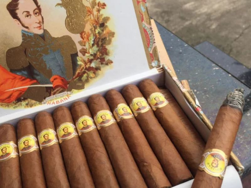 Hình thức quý phái, lịch sự